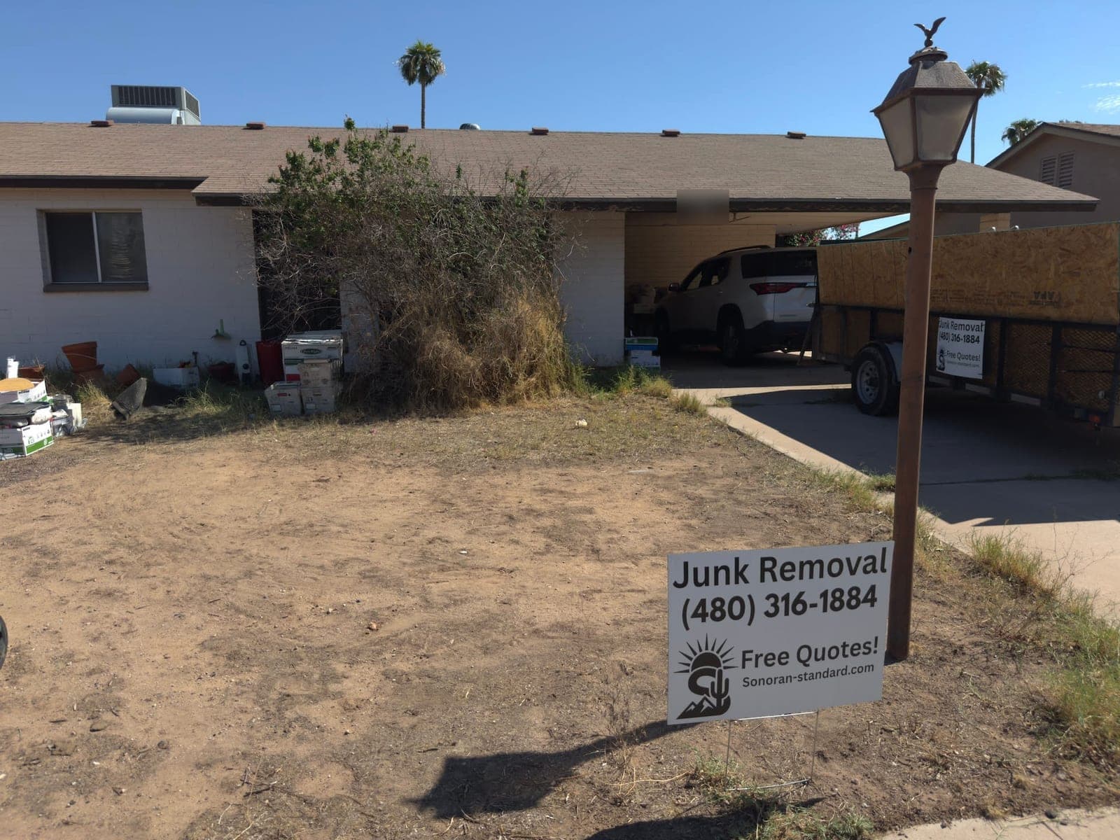 The same Tempe front yard cleared, with a Sonoran Standard yard sign